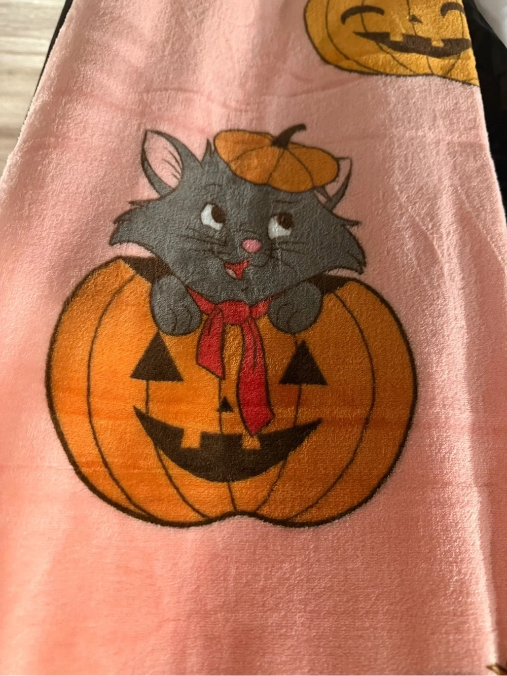 Disney Pumpkin & Character Marie the Cat Pink Plush Blanket